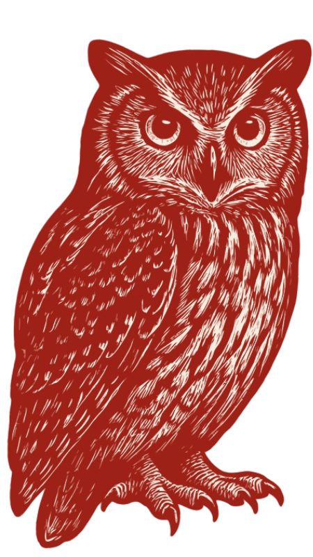 Kapio Cybersecurity logo (pueo + wordmark)